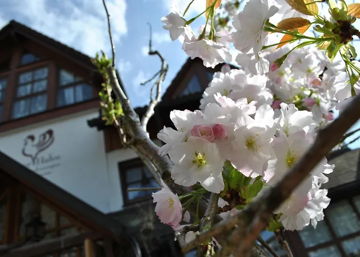 B&B Apart Hotel Goldener Hahn - nahe an Gartenschau Tal X Baiersbronn